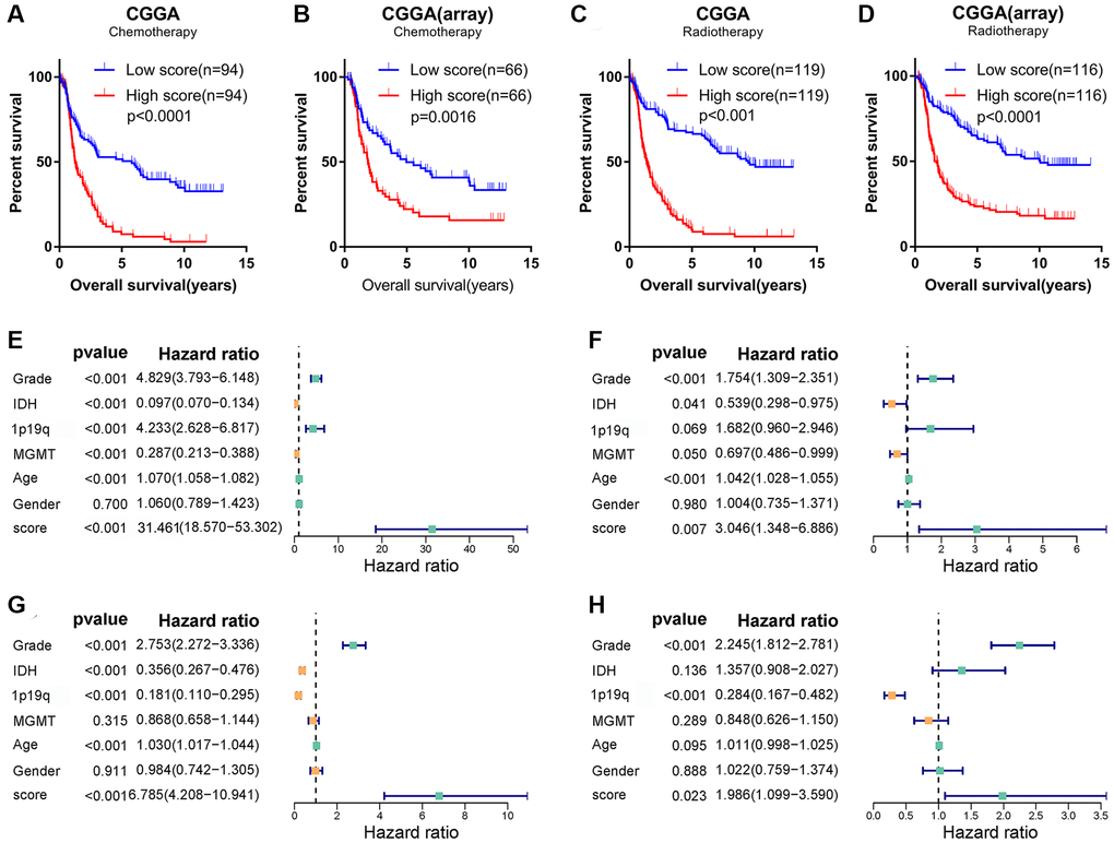 Angiogenesis score, as an independent prognostic factor, reflected glioma sensitivity to therapy. (A–D) Among glioma patients receiving chemotherapy (A, B) or radiotherapy (C, D), the prognosis of glioma patients in the high-score group was significantly worse than that in the low-score group in the CGGA and CGGA (array) datasets. (E–H) Univariate (E, G) and multivariate (F, H) Cox regression analysis in the TCGA (E, F) and CGGA (G, H) datasets revealed that angiogenesis score was an independent prognostic factor for glioma patients.