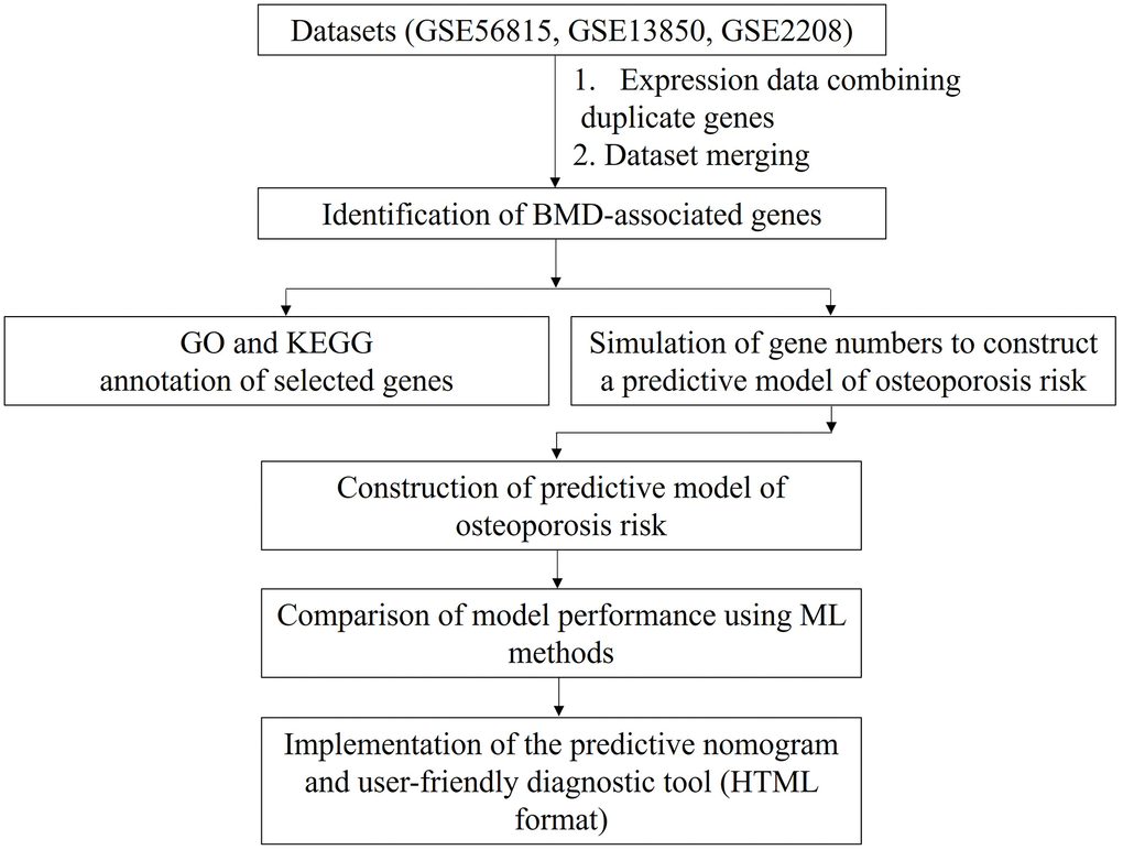 Study design. Data for duplicated genes in each gene expression dataset were averaged. The datasets were then merged based on gene name. Finally, osteoporosis-predictive genes were identified, as indicated. BMD: bone mineral density; GO: Gene Ontology; KEGG: Kyoto Encyclopedia Genes Genomes; ML: machine learning; HTML: Hypertext Markup Language format.