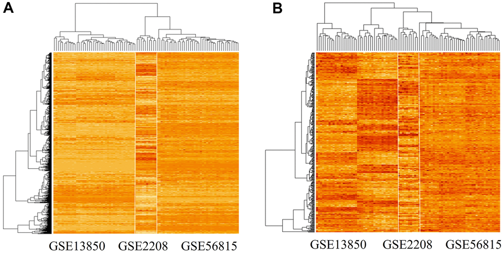 Gene expression patterns in the three datasets analyzed. (A) Gene expression pattern in the merged microarray dataset, which includes 6354 genes and data from 90 experiments. (B) Gene expression pattern of significant differentially expressed genes (n = 378) in high-BMD and low-BMD groups. The genes were identified using the limma package in R; among them, 191 genes were down-regulated and 187 genes were up-regulated.