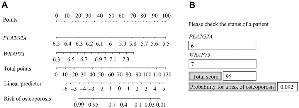 Nomogram for predicting the probability of osteoporosis risk. (A) Identification of the probability of osteoporosis risk for an individual patient. (B) Practical use of the nomogram, available in Hypertext Markup Language (HTML) format.