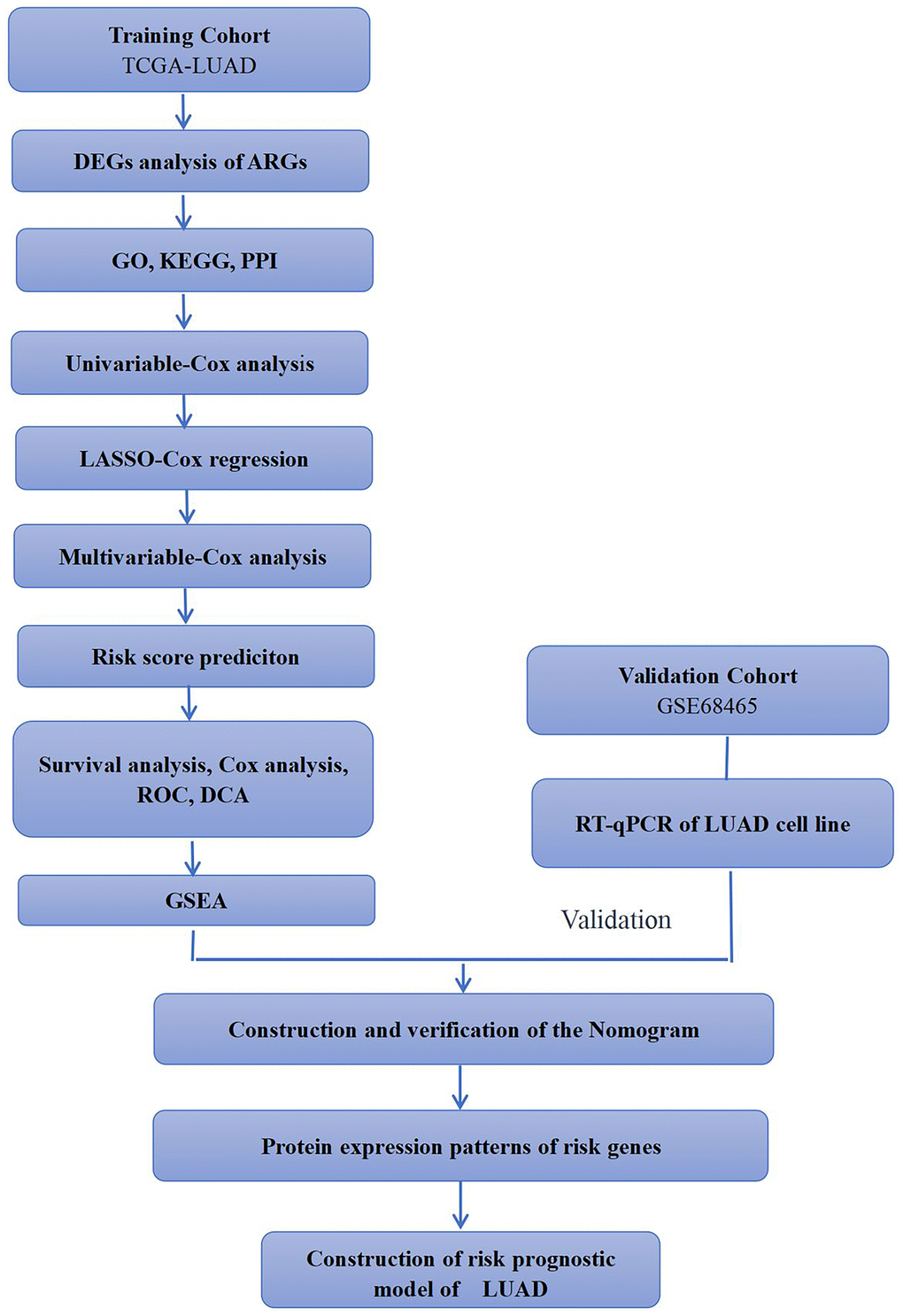 Simple flow chart of this study. TCGA-LUAD and GSE68465 cohorts were used for analysis in this study. Training cohorts were used to detect prognostic genes. Lasso regression model was used to establish prognostic signatures based on prognostic genes. We then confirmed the expression patterns of EIF2AK3 and ITGB1 in LUAD cell lines.