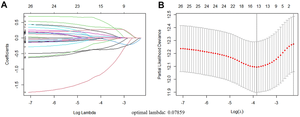 ARGs with prognostic potential were screened by LASSO regression. (A) Filter the optimal parameter (lambda) when drawing A vertical line. (B) The lasso coefficient distribution of 13 ARGs with non-zero coefficients was determined by the optimal lambda(0.07859).