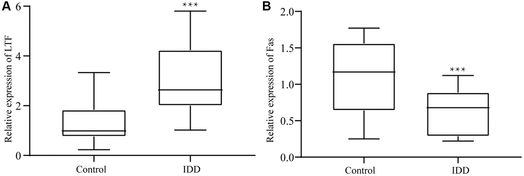In the IDD group, (A) LTF expression was significantly downregulated, (B) while Fas expression was significantly upregulated. ***P 