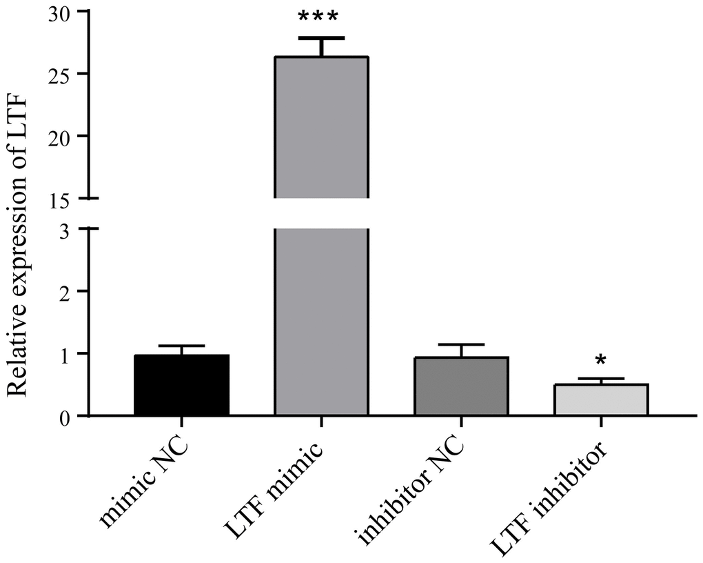 LTF activity after LTF mimic and inhibitor transfection. *P ***P 