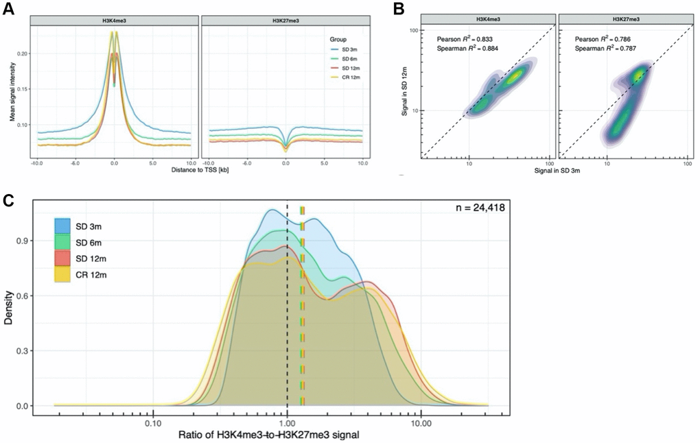 Analysis of promoter-related histone marks in transcription start sites. (A) H3K4me3 and H3K27me3 profiles around all transcription start sites. (B) Density plot of the H3K4me3 and H3K27me3 signal in all TSS, SD 12m over SD 3m. (C) Distribution of H3K4me3-to-H3K27me3 signal ratio across all TSS.
