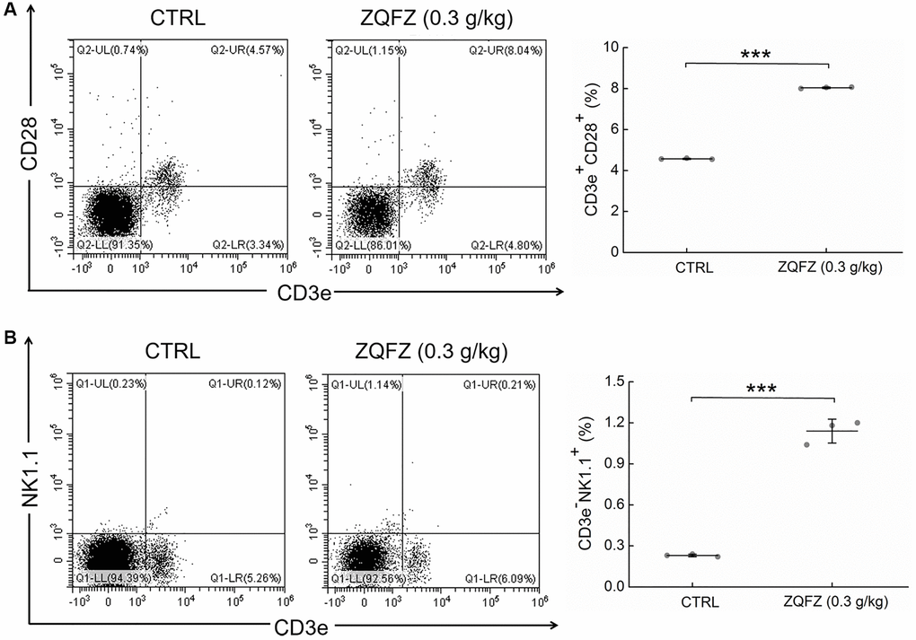 ZQFZ enhanced the levels of immune cells component. Analyzed by flow cytometry, ZQFZ enhanced (A) the levels of T cells (represented by CD3e+CD28+) and (B) the levels of NK cells (represented by CD3e-NK1.1+) in peripheral blood of ApcMin/+ mice. Data was shown as the mean ± SD (n = 3 mice/group) and determined via a one-way ANOVA test. ***p 