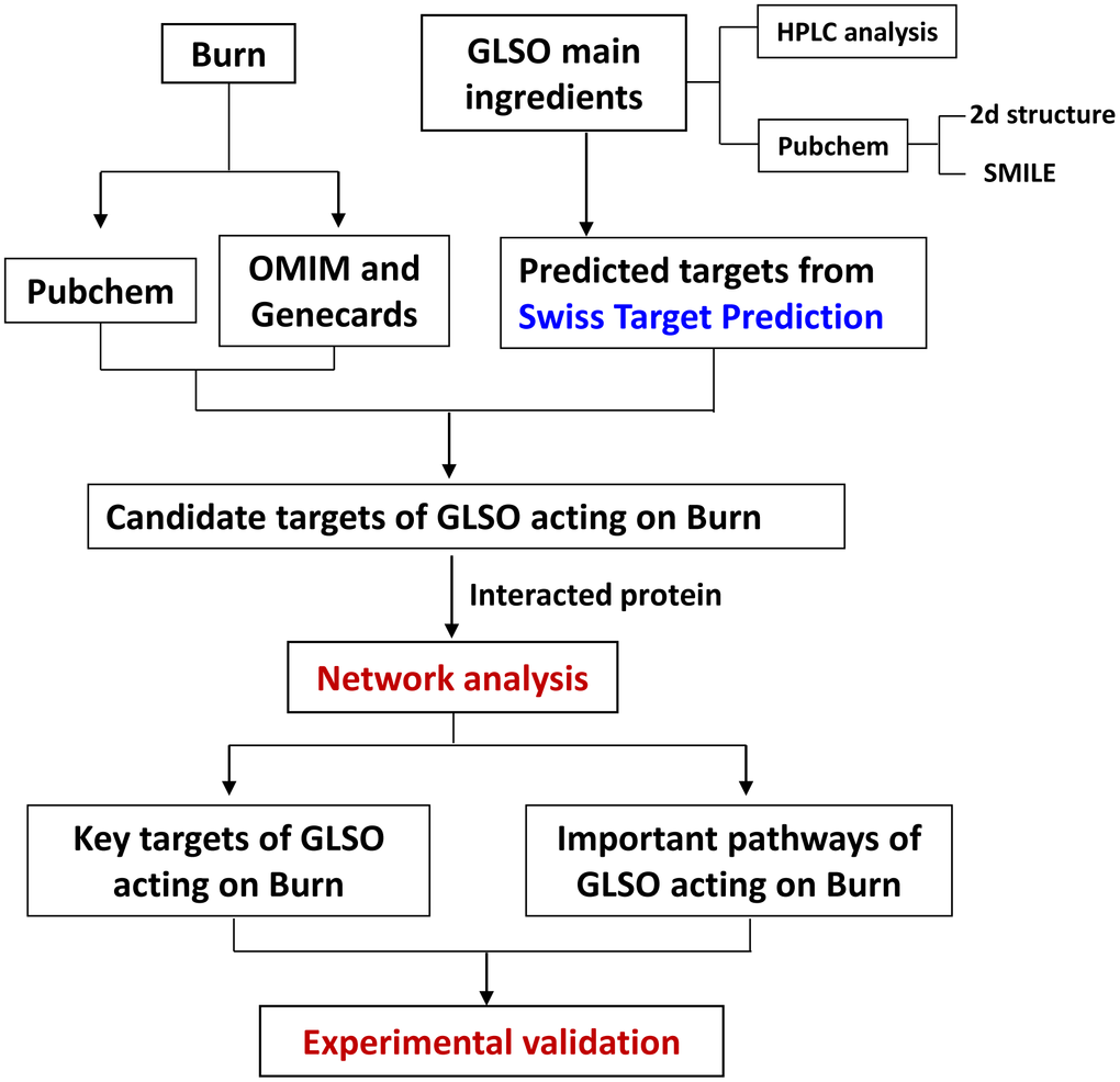 Workflow for GLSO treatment of skin burn injury.