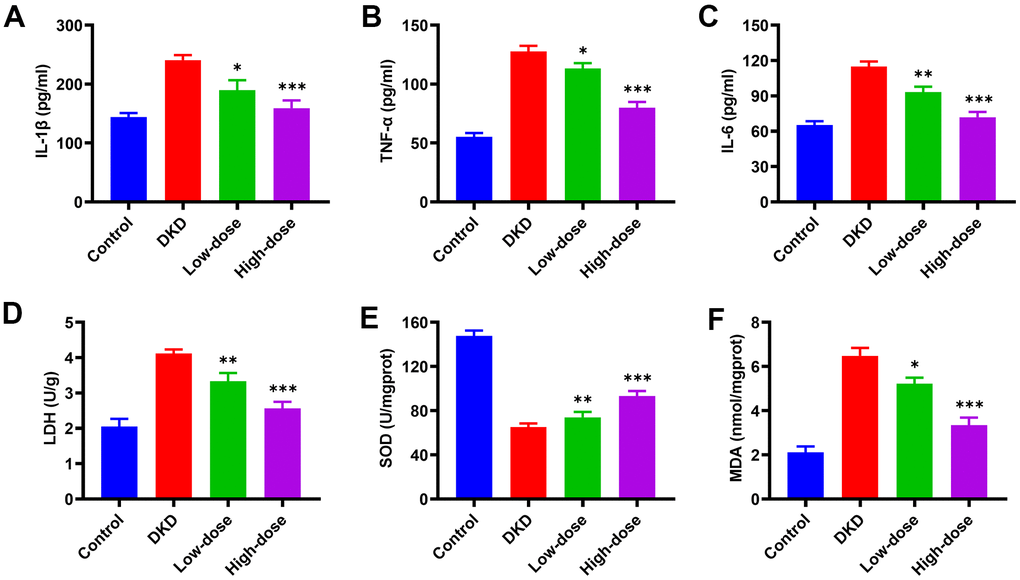 Effects of Qidantang Granule on serum inflammatory factors and renal oxidative stress factors in DKD rats. The DKD rats were administered with 50 mg/kg (low dose) and 200 mg/kg (high dose) Qidantang Granule for 9 weeks by gavage. (A–C) the expression of inflammatory factors TNF-α, IL-1β, and IL-6 in the serum of rats in each group; (D–F) the activities of LDH, SOD, and MDA in the renal tissue of rats in each group; n=6. *p 