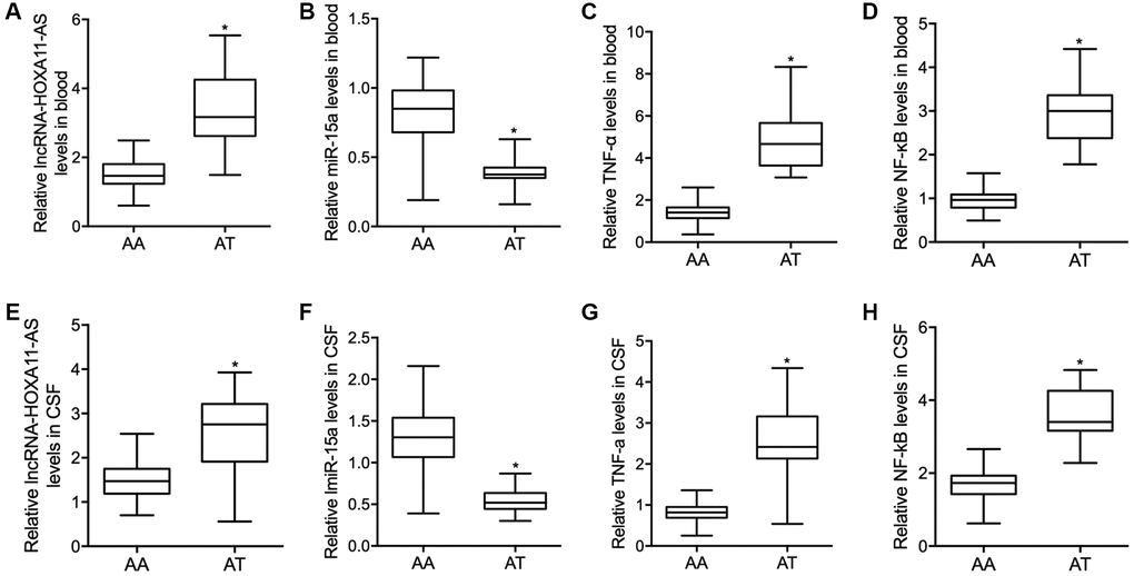Compared with SAH patients carrying the AT genotype of rs17427875, in the peripheral blood samples, the relative expressions of lncRNA-HOXA11-AS (A) was significantly increased while the relative expression level of miR-15a (B) was notably repressed, and both the TNF-α (C) and NF-κB (D) level were significantly increased in SAH patients carrying the AT genotype of rs17427875. Moreover, similar results were observed of lncRNA-HOXA11-AS (E), miR-15a (F), TNF-α (G) and NF-κB (H) in the CSF samples collected from SAH patients carrying the AT genotype of rs17427875 (*P value 