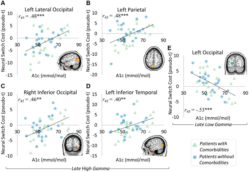 Glycemic control and neural switch cost associations. Significant correlations between neural switch cost dynamics and glycemic control level were apparent in the late high gamma and late low gamma windows. Specifically, gamma responses in the left lateral occipital ((A) r45 = 0.48, p B) r45 = 0.48, p C) r45 = 0.46, p = 0.001), and left inferior temporal ((D) r45 = 0.40, p = 0.005) regions exhibited greater neural switch costs in the context of higher HbA1c levels. Interestingly, greater neural switch costs were associated with lower HbA1c levels in the left occipital region’s late low gamma response ((E) r45 = −0.53, p *p **p ***p 