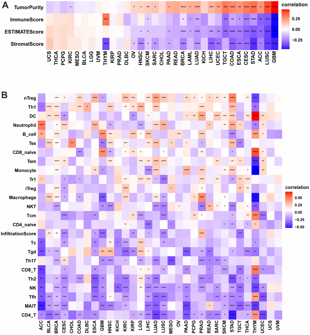 Immune infiltration analysis according to the ImmuCellAI database. (A) Correlation of POC1A expression with immune cell infiltration in LUAD. (B) Relation of POC1A expression with tumor purity, ImmuneScore, ESTIMATEscore and StromalScore. Red and blue colors indicate positive and negative correlations, respectively; deeper color indicates a strong correlation *P