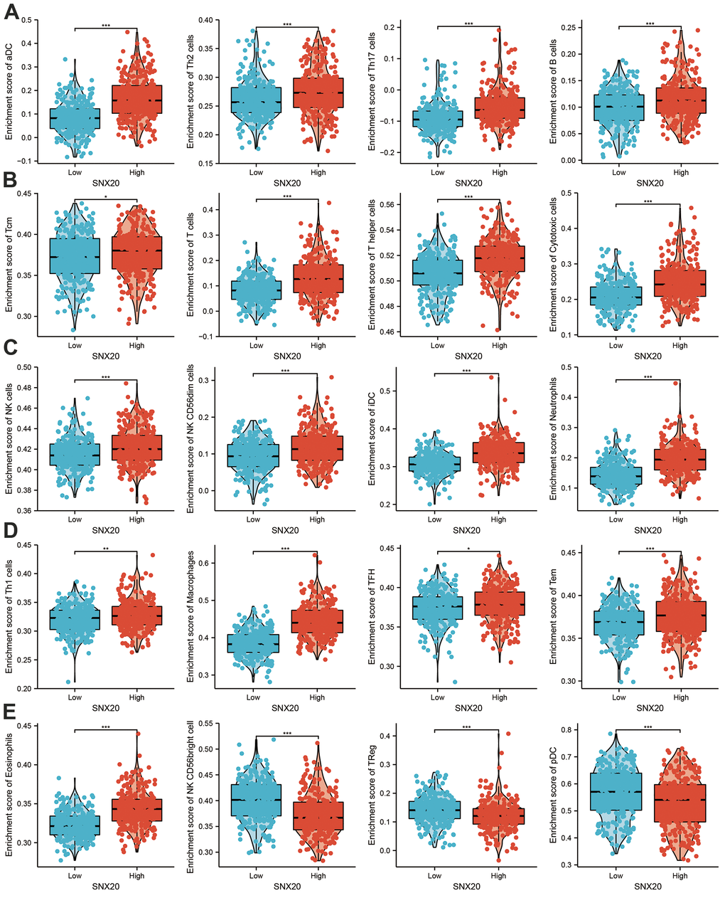 Analysis the correlation between SNX20 expression and diverse immune cell infiltration. (A–E) Diverse proportions of immune cell subtype in tumor samples in high and low SNX20 expression groups.