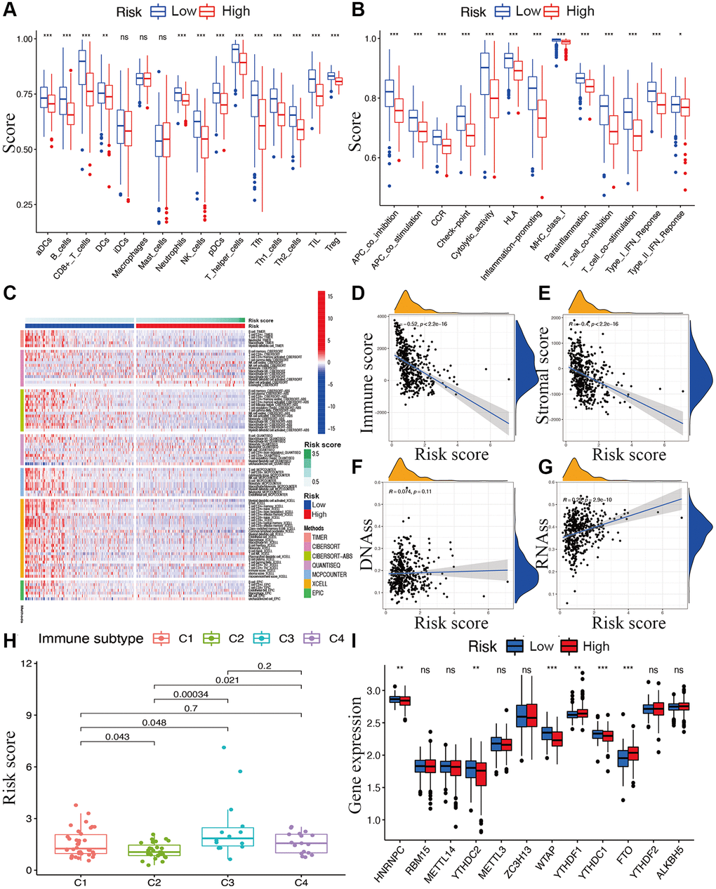 Potential role of risk signature in CM immune status, tumor stemness, and m6A-related genes. Boxplots of scores of immune cells (A) and immune-associated functions (B) in risk subgroups. (C) Heatmap for immune responses based on EPIC, XCELL, MCP counter, QUANTISEQ, CIBERSORT, and TIMER among two risk subgroups. Associations between risk signature and immune scores (D), stromal scores (E), DNAss (F), RNAss (G), immune infiltration subtypes (H), and m6A-related genes (I).