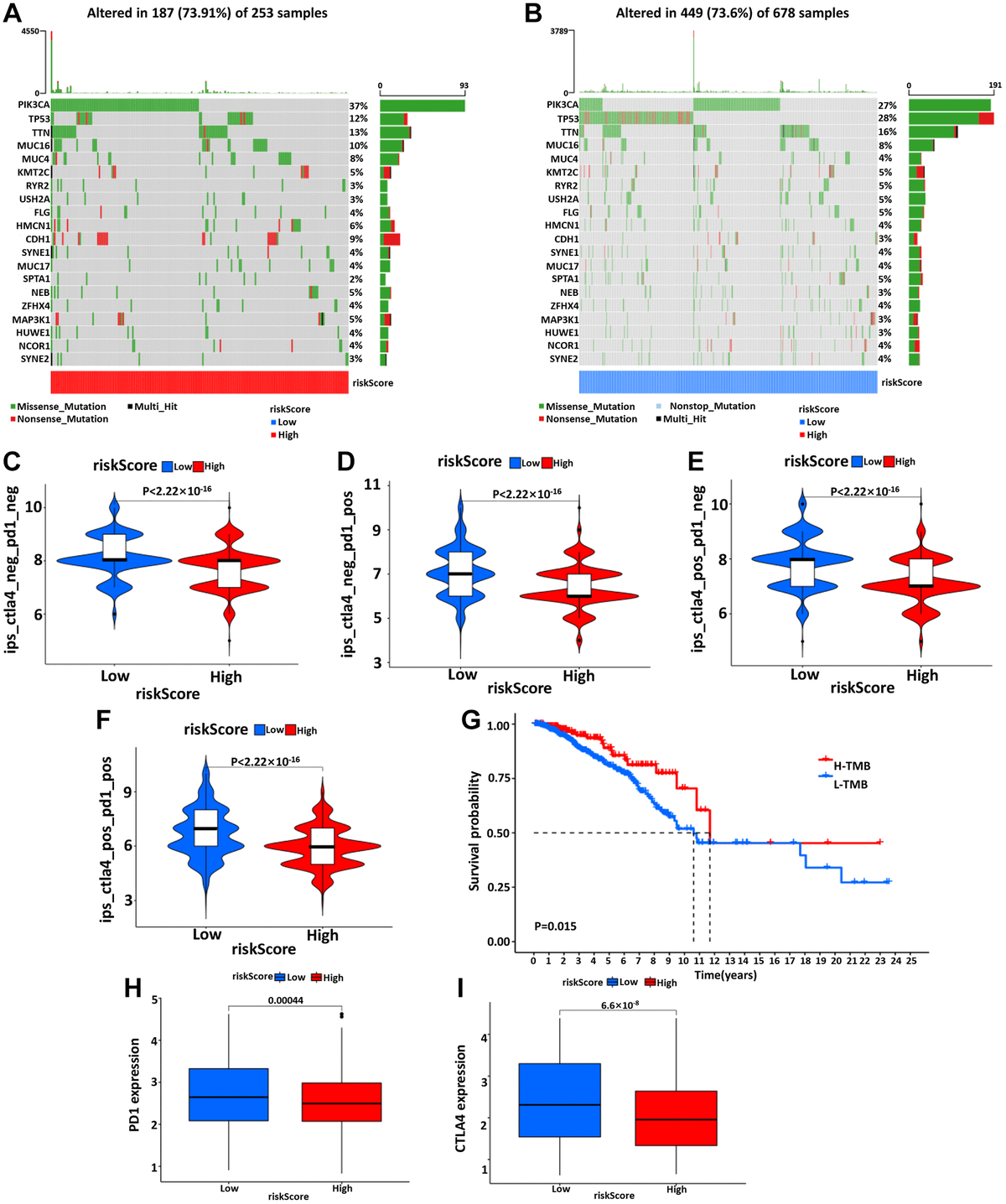 Development Of A Prognostic Signature Based On Immune-related Genes And ...