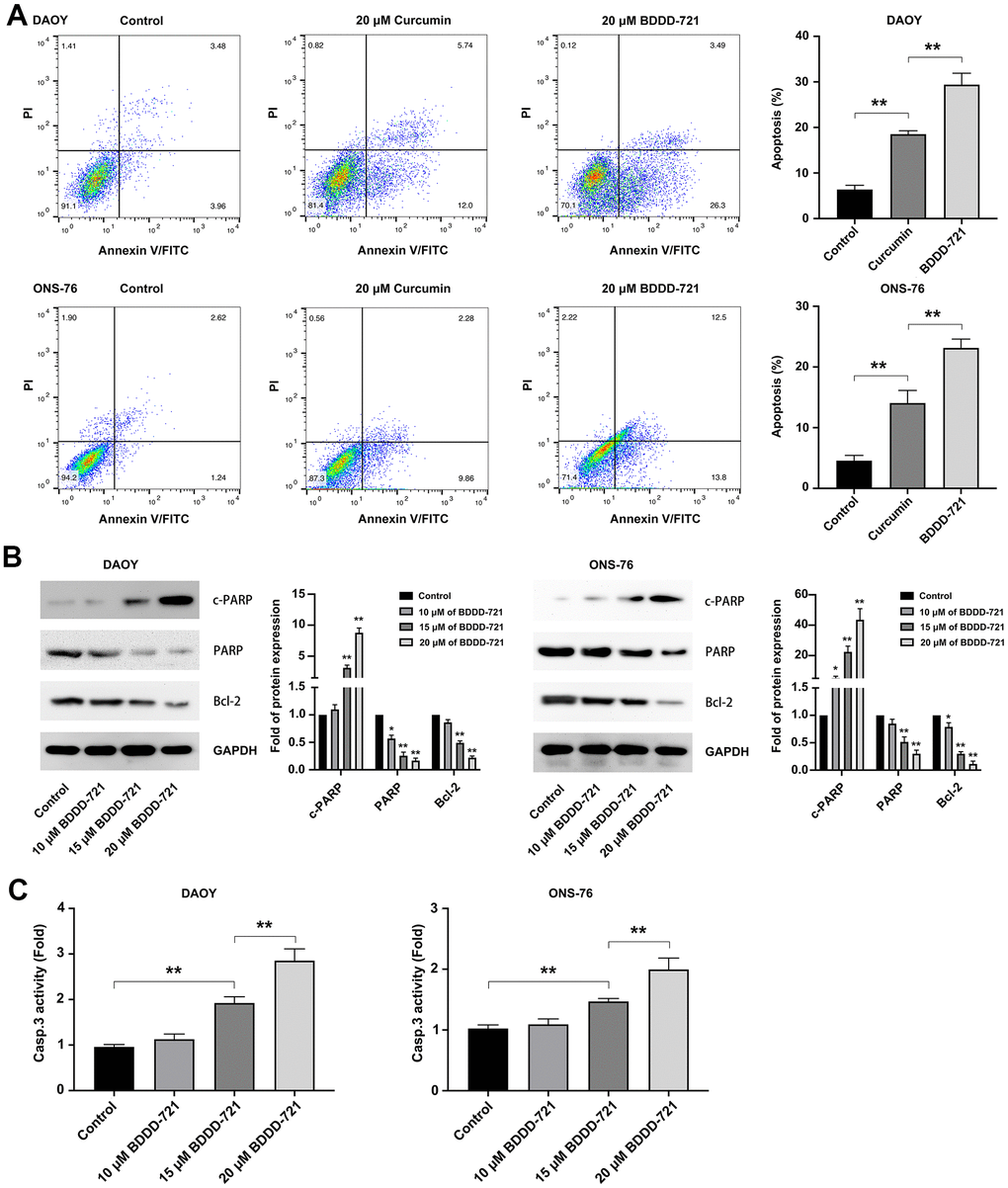 BDDD-72 and curcumin triggered apoptosis against medulloblastoma cells. (A) Cell apoptosis was examined by flow cytometry assay using the Annexin V/PI after BDDD-721 or curcumin treatment for 24h. (B) Apoptosis-related proteins of cleaved PARP, PARP and Bcl-2 were analyzed by western blot. (C) Caspase-3 activity was measured by ELISA assay. Compared with Control, *p p 