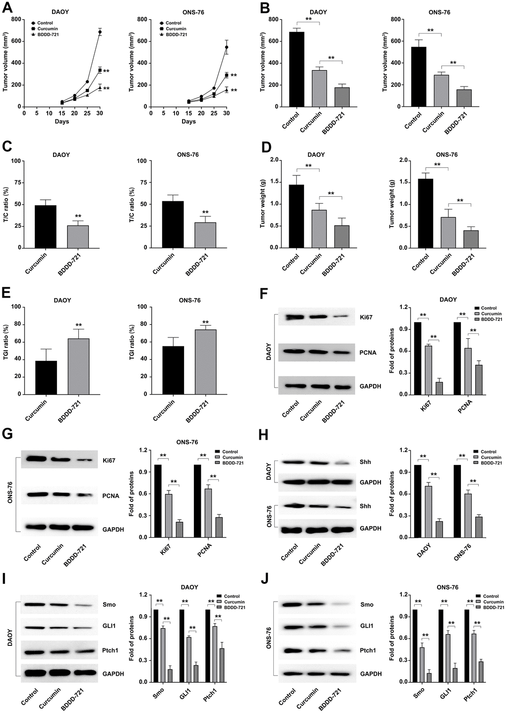 Effects of curcumin and BDDD-721 against medulloblastoma cells in vivo. (A) The tumor volume of xenografts was recorded after curcumin and BDDD-721 treatment. (B) The difference of the final median tumor volume between curcumin and BDDD-721 treatment was analyzed by SPSS statistical software. (C) T/C (%) was calculated and analyzed after curcumin and BDDD-721 treatment. (D) The difference of the final weight of transplanted tumor between curcumin and BDDD-721 treatment was analyzed by SPSS statistical software. (E) TGI(%) was calculated and analyzed after curcumin and BDDD-721 treatment. Then, the expression of Ki67 and PCNA proteins were detected by western blot in DAOY (F) and ONS-76 (G) xenografts. (H) Shh protein was detected by western blot in DAOY and ONS-76 xenografts. And the expression of Smo, GLI1 and Ptch1 proteins were detected by western blot in DAOY (I) and ONS-76 (J) xenografts.