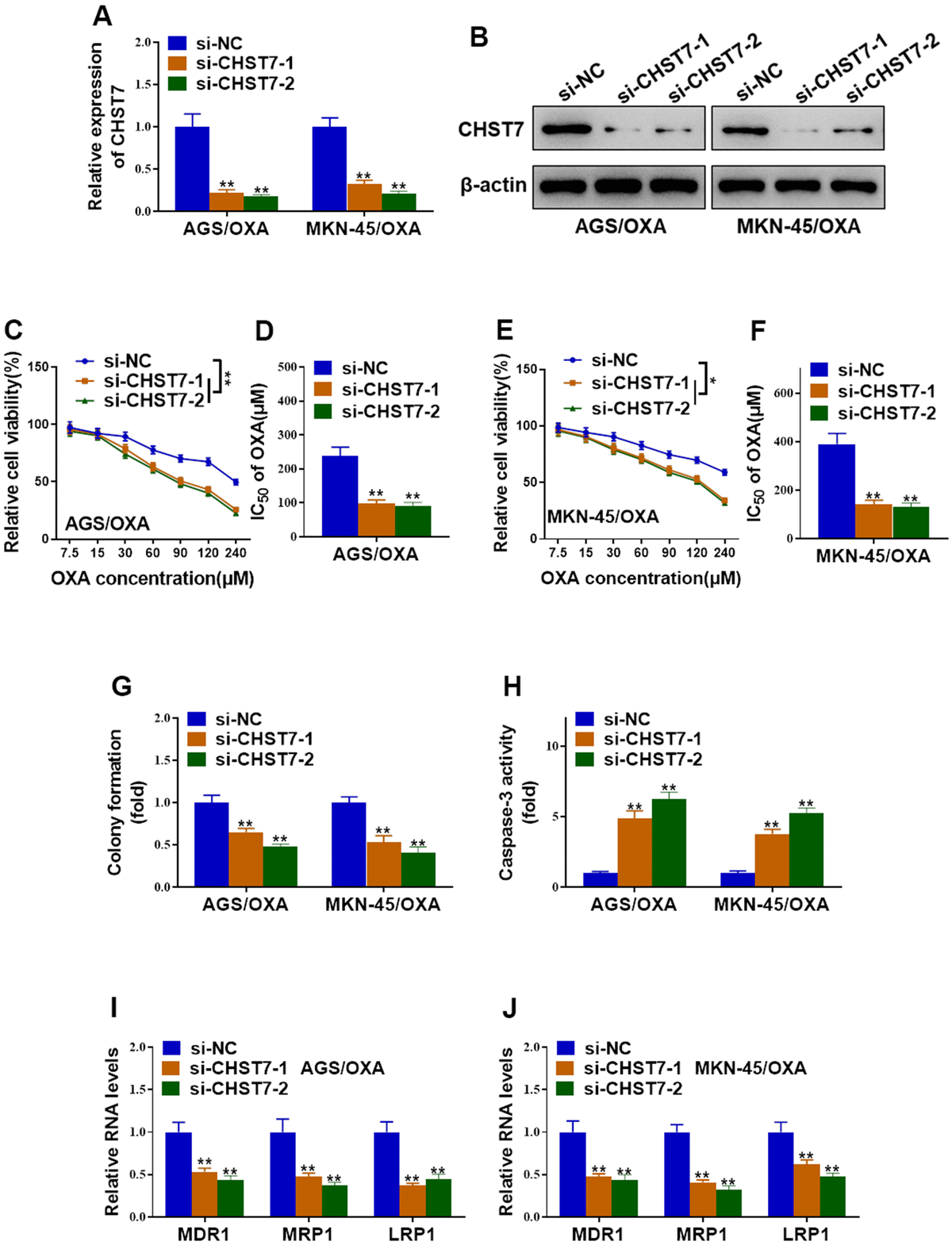 Long Non Coding Rna Znf674 As1 Antagonizes Oxaliplatin Resistance Of