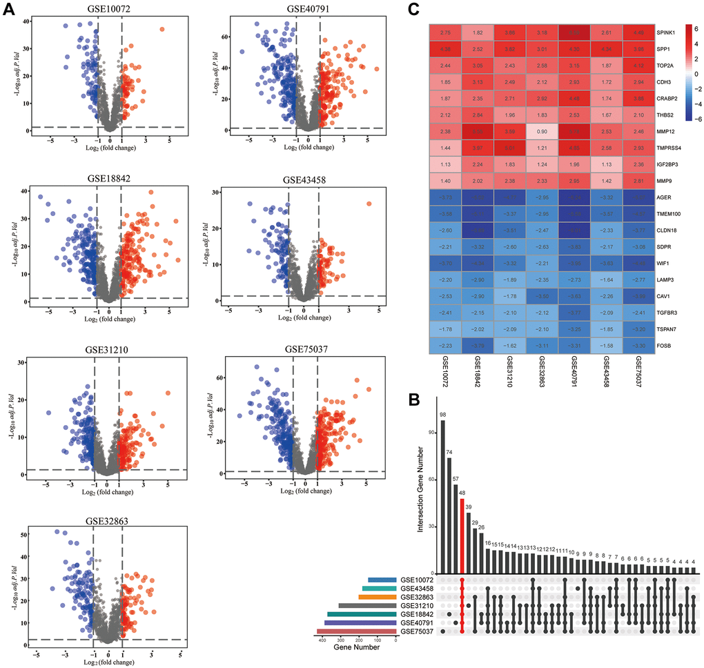 Identification of differentially expressed metastasis-associated genes (MAGs). (A) The volcano plots of differentially expressed MAGs in each GEO cohort, (B) Intersection plot of the MAGs in these cohorts, (C) The expression heatmap of the top 20 differentially expressed MAGs.