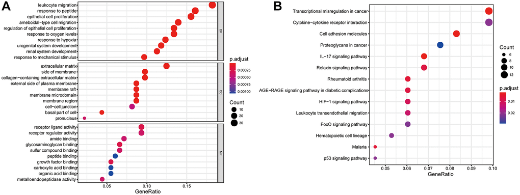 Gene functional enrichment analysis of differentially expressed MAGs. (A) GO and (B) KEGG analyses.