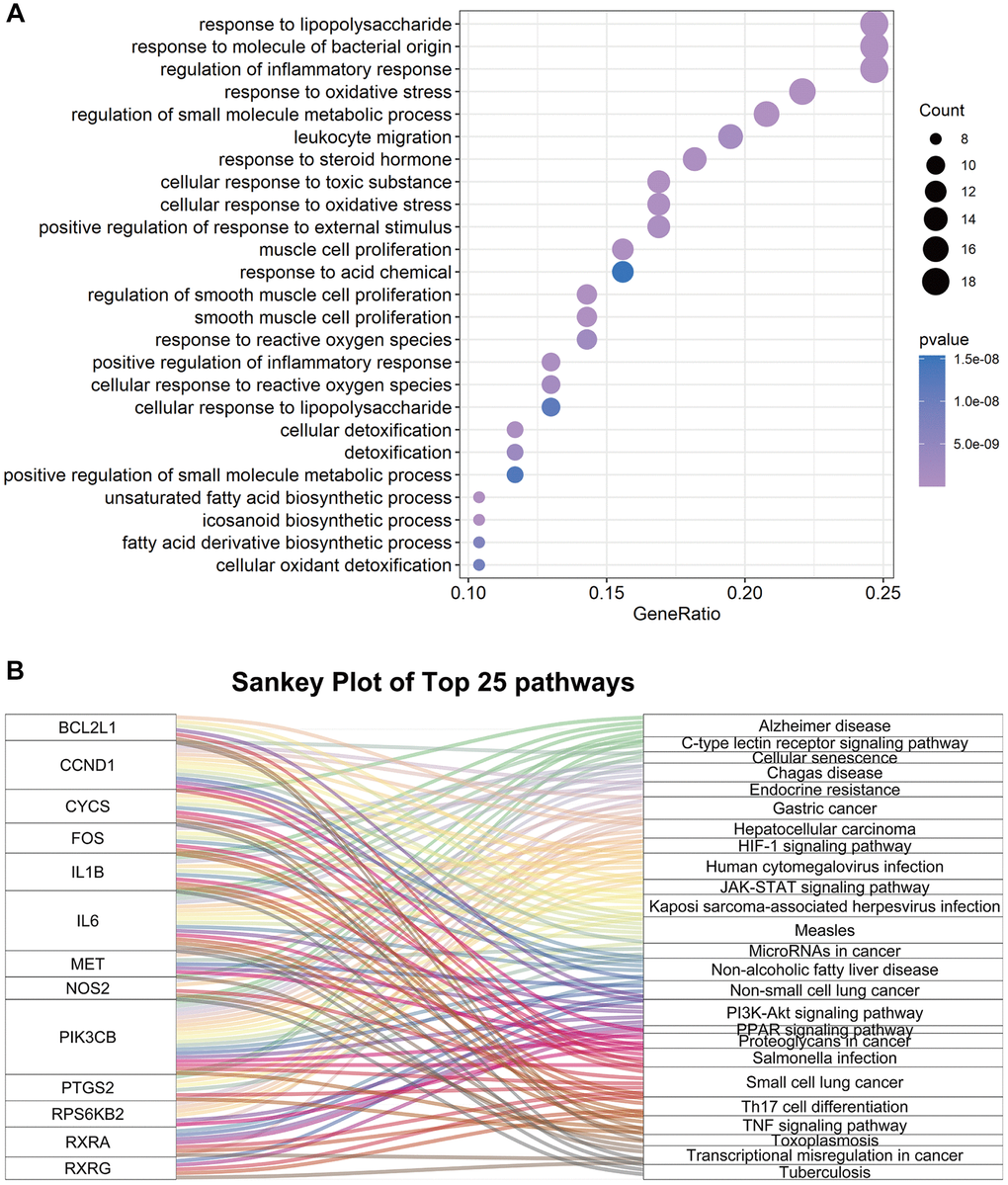 The enrichment results of 77 common genes between FTZ pharmacological target genes and osteoclast-related genes. (A) Top 25 terms of the biological process enrichment. (B) Sankey diagram for the top 25 KEGG enrichment terms, displayed the relationship between enriched genes and pathway terms.
