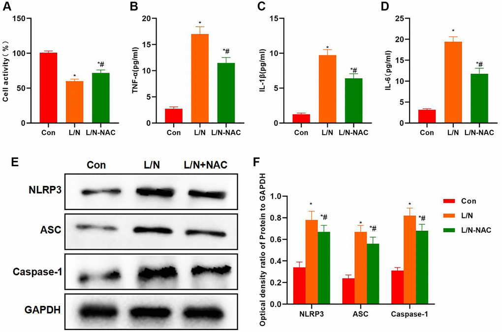 Suppressing ROS inhibits inflammatory factor expression and NLRP3 activation. (A) Results of cell viability assay (n-3). NAC improved cell viability, which was higher than that in L/N group. *P #P B–D) Expression of inflammatory factors (n = 3). NAC down-regulated the expression of inflammatory factors. The levels of IL-6, TNF-α and IL-1β in L/N + NAC group dramatically decreased, lower than those of L/N group. *P #P E, F) Detection of protein expression (n = 3). After NAC suppressed ROS, the activation of NLRP3 inflammasome was suppressed, the expression of NLRP3, ASC and Caspase-1 decreased, and the protein levels were dramatically lower than those in L/N group. *P #P 
