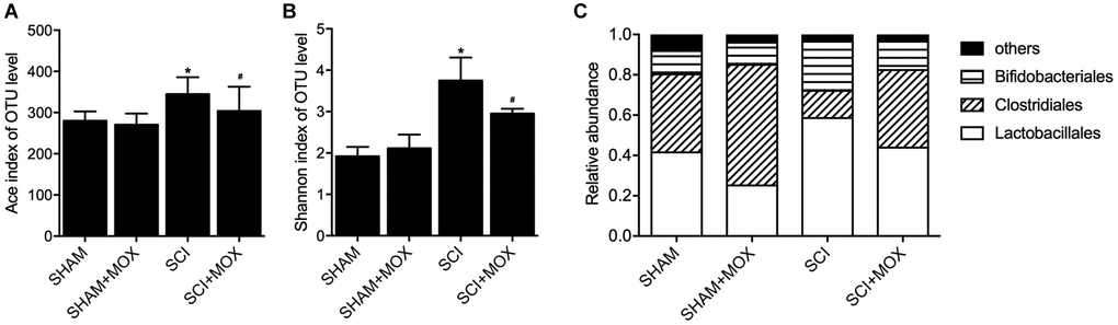 MOX treatment mitigated the dysregulation of gut bacterial composition in SCI mice (*P value #P value  (A) Ace index in the SHAM group, SHAM+MOX group, SCI group and SCI+MOX group; (B) Shannon index in the SHAM group, SHAM+MOX group, SCI group and SCI+MOX group; (C) Relative abundance of Lactobacillales, Clostridiales and Bifidobacteriales in the SHAM group, SHAM+MOX group, SCI group and SCI+MOX group.