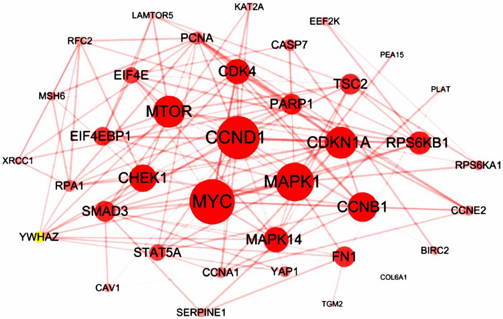 Interaction analysis of the RIPK family in LUAD patients. The 42 most frequently altered genes identified from cBioPortal that are linked to the RIPKs family in LUAD patients.