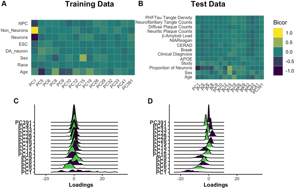 Understanding core principal component composition. Principal component loadings for individuals in the training dataset were correlated using biweight midcorrelation (bicor) to selected author-provided phenotypic annotations (A). The same procedure was applied to the projected principal component loadings for all individuals in the test dataset, including those with and without Alzheimer’s disease (B). To ensure that future correlations between age prediction and disease are not the result of unrealistic distortions in PC loadings following the prediction process, we used ridgeplots to visualize the distribution of loadings in each PC in age 65+ training individuals (C) and the test data (D). [Abbreviations: NPCs: neural progenitor cells; Cort: cortical; ESCs: embryonic stem cells; DA: dopaminergic].