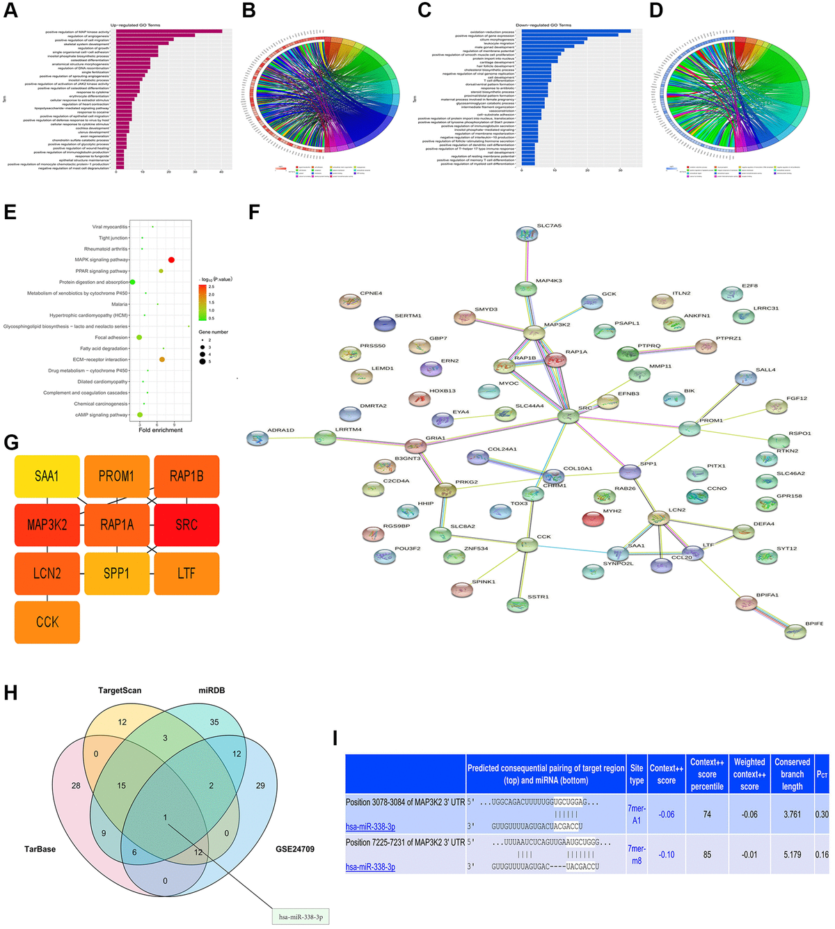 miRNA-338-3p inhibits the migration, invasion and proliferation of ...