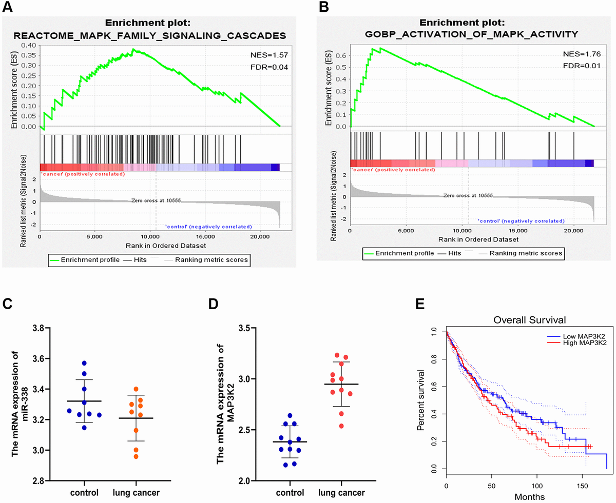 Mirna 338 3p Inhibits The Migration Invasion And Proliferation Of