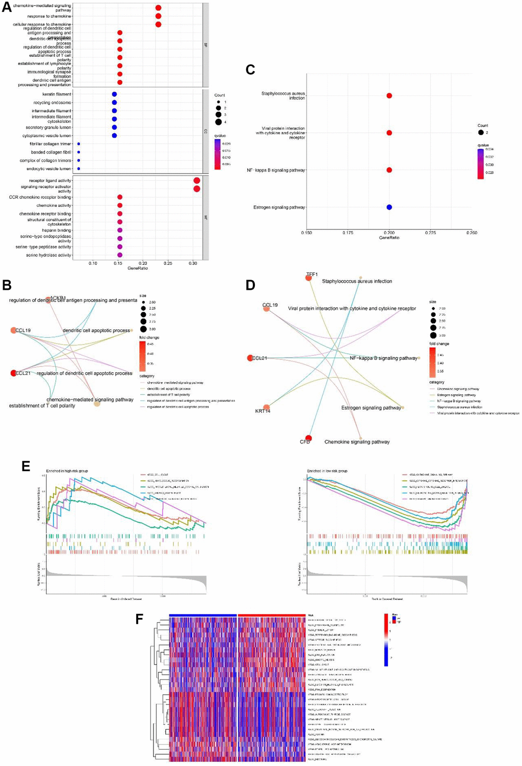 Functional analyses of the 13-gene signature in the TCGA cohort. (A, B) GO enrichment analysis of differentially expressed genes (DEGs) between the high and low-risk group. (C, D) KEGG enrichment analysis of DEGs between the high-risk group and low-risk group. (E) GSEA of high-risk group and low-risk group. (F) Gene set variation analysis (GSVA) of high-risk group and low-risk group.