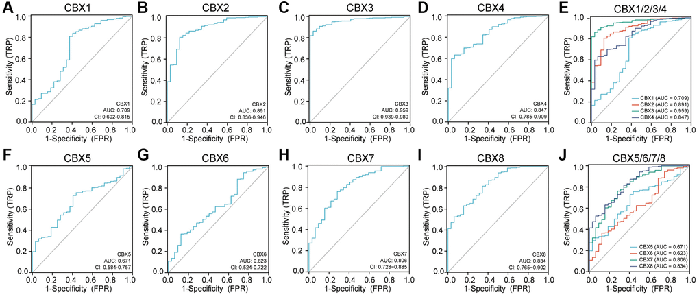 Receiver operating characteristic (ROC) curves for each CBXs gene in gastric cancer. (A) CBX1; (B) CBX2; (C) CBX3; (D) CBX4; (E) CBX5; (F) CBX6; (G) CBX7; (H) CBX8; (I) CBX1/2/3/4; (J) CBX5/6/7/8. Abbreviations: CI: confidence interval; AUC: area under curve; FPR: false positive rate; TPR: true positive rate.