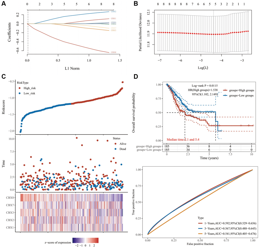 Constructing a prognosis model of CBXs. (A) LASSO index profiles of the five CBXs; (B) Plots of the ten-fold cross-validation error rates; (C) The distribution of risk score, survival status, and the expression of 5 genes in gastric cancer; (D) Overall survival curves for gastric cancer patients in the high-/low-risk group and the ROC curve of measuring the predictive value. Abbreviation: CBXs, chromobox proteins.