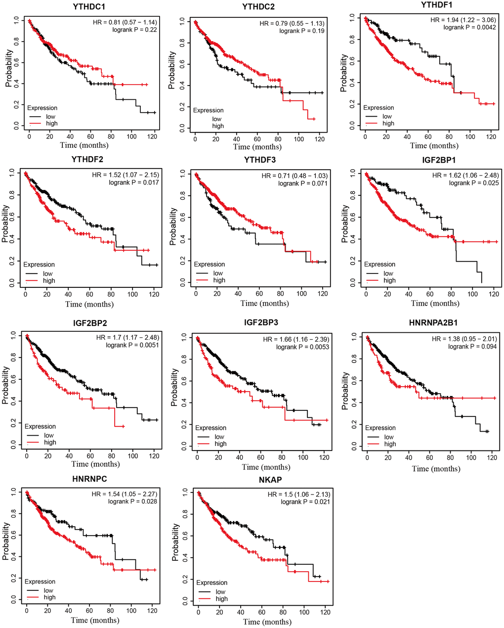 The overall survival curve of m6A “readers” in HCC patients (Kaplan-Meier plotter database). The high expression level of YTHDF1, YTHDF2, IGF2BP1, IGF2BP2, IGF2BP3, HNRNPC, NKAP in HCC patients displayed shorter OS time.