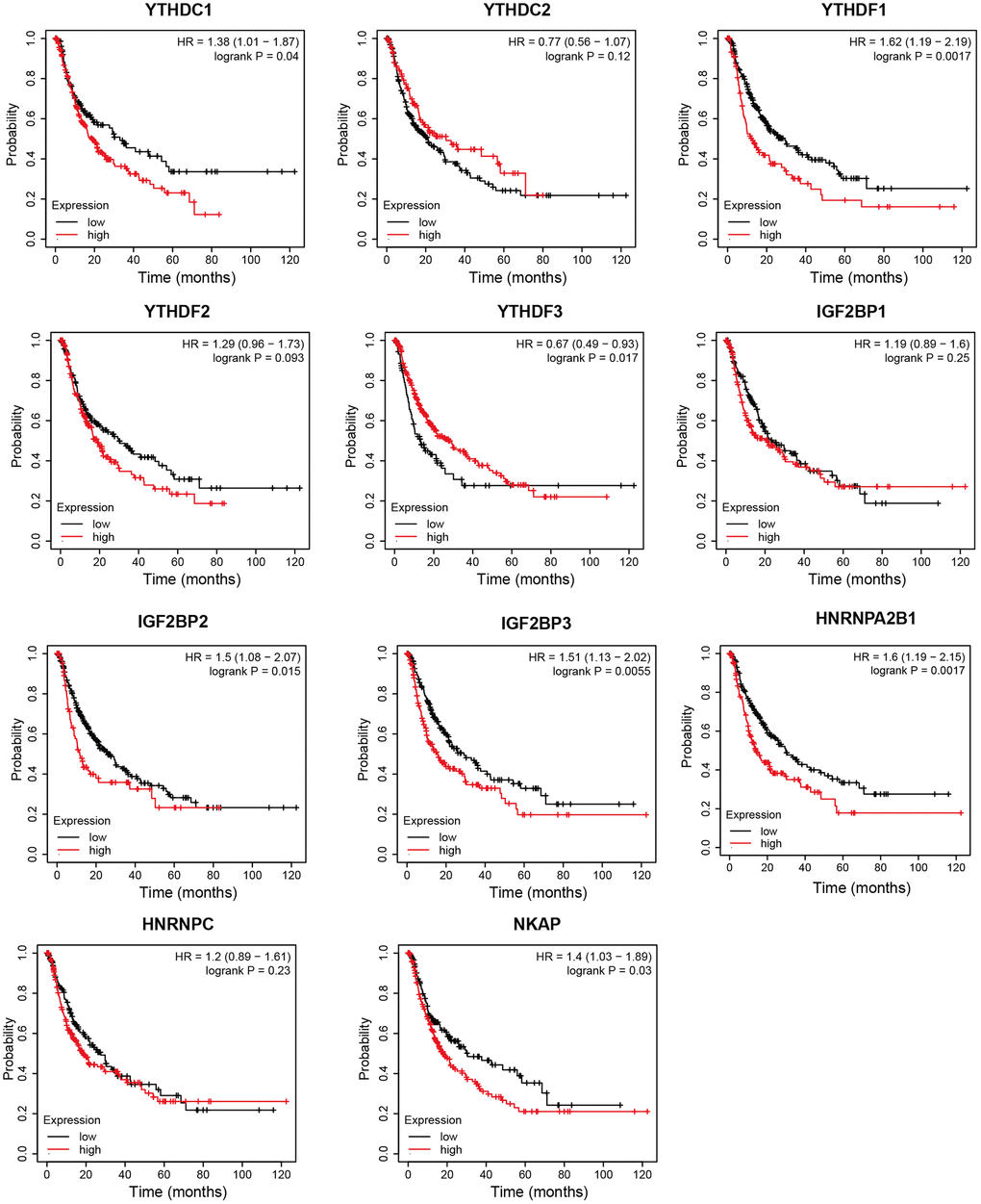 The progression free survival curve of m6A “readers” in HCC patients (Kaplan-Meier plotter database). YTHDC1, YTHDF1, IGF2BP2, IGF2BP3, HNRNPA2B1, and NKAP were negatively related with PFS time in HCC patients. YTHDF3 was positively related with PFS time in HCC patients.