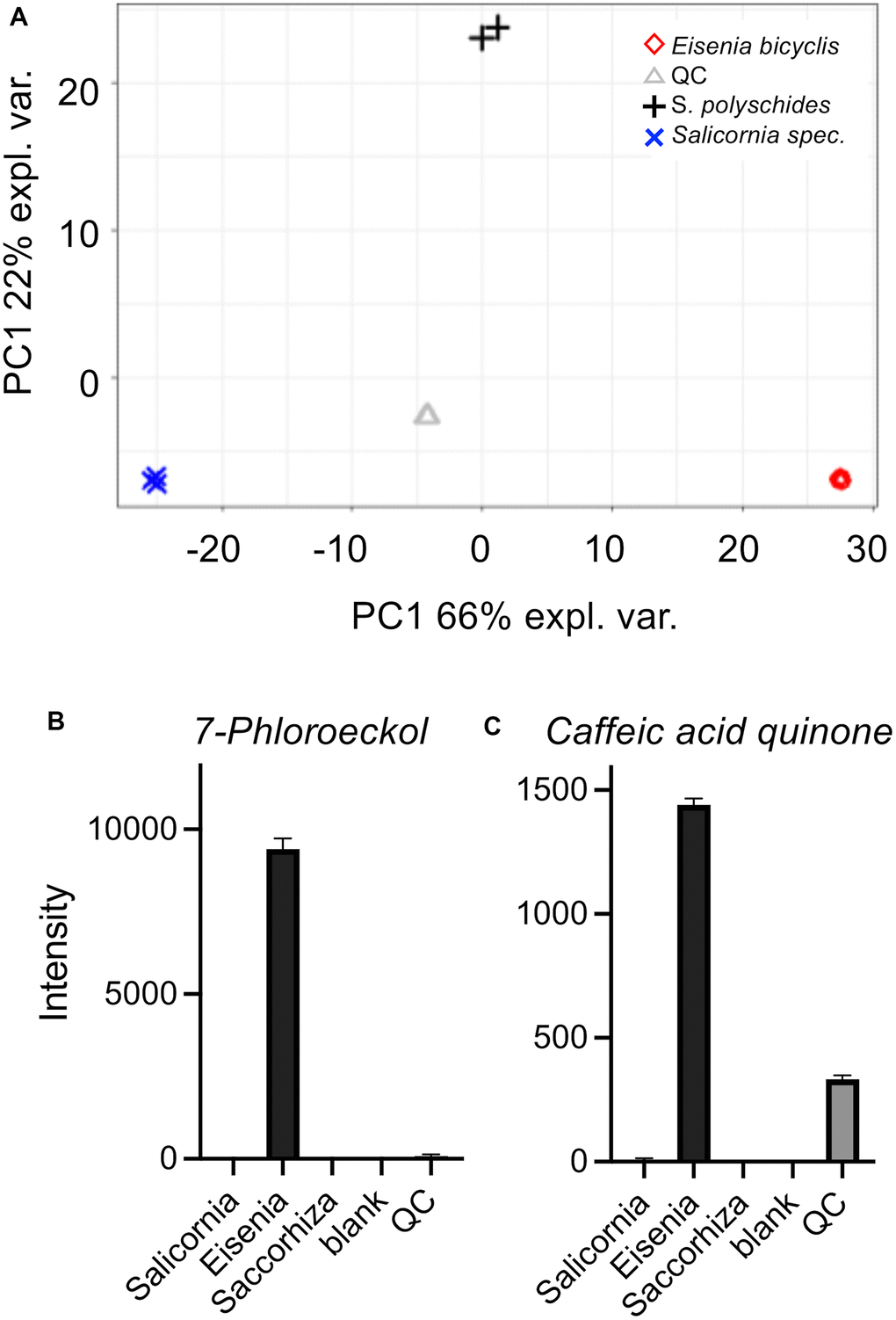 Untargeted HPLC-MS analysis of algae extracts. Principal component analysis (PCA) (A) of algae extracts measured using the ESI+ and ESI- acquisition mode. Underlying peak areas are log10 transformed and pareto-scaled. (B, C) LC-ToF-MS intensities of 7-phloroeckol (B) and caffeic acid quinone (C). Intensities are displayed as the mean of triplicate injections (duplicate injections for Saccorhiza).