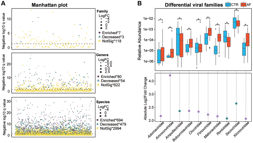 Altered gut viral composition in AF. The Manhattan plot shows an overview of differentially enriched viral taxa between non-AF and AF individuals (A). Box plots of differentially enriched viral families (B) between non-AF control and AF individuals. Boxes are interquartile ranges; lines denote medians; circles are outliers. The scatter plot shows absolute values of Log 2 (fold change of CTR/AF), while dots colored in purple and green denote enriched viruses in AF and controls, respectively. + denotes adjusted p (q) value *q 