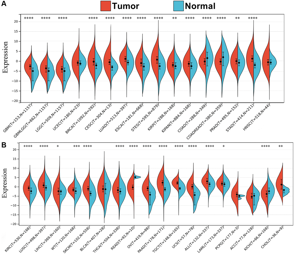 Pan-cancer expression profiling of SPIB. (A, B) Differential expression of SPIB in 34 cancers based on TCGA and GTEx databases, blue represents normal tissues, and red represents tumor tissues. *P **P ***P ****P P-value P 