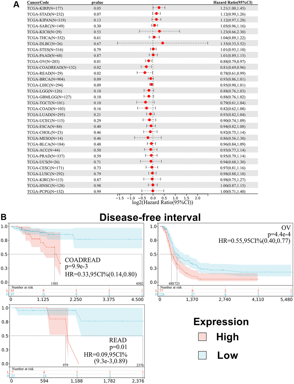 Relationship between SPIB expression and disease-free interval (DFI) in pan-cancer. (A) Cox regression analysis of SPIB in 44 tumors. (B) Kaplan-Meier OS curves of SPIB expression in patients with COADREAD, OV, and READ. The vertical coordinate is the survival probability, and the horizontal coordinate is the survival time (days).