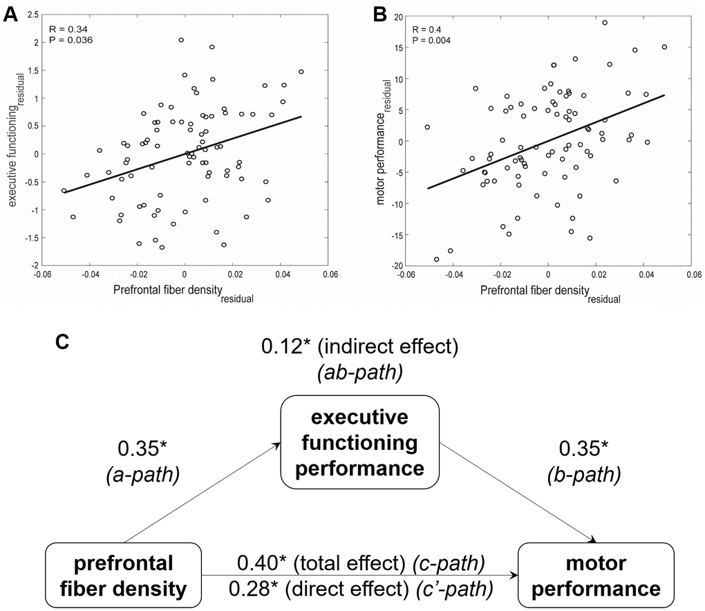 Relationships between prefrontal fiber density, executive functioning performance, and motor performance in older adults. Scatter plot and the best least square line for (A) executive functioning and (B) motor performance association with prefrontal fiber density, after accounting for the estimated total intracranial volume (TIV), are shown. Partial Pearson’s coefficients and the Bonferroni-corrected p-values are indicated. (C) Executive functioning performance mediates the relationship between prefrontal fiber density and complex motor performance in older adults. * p 