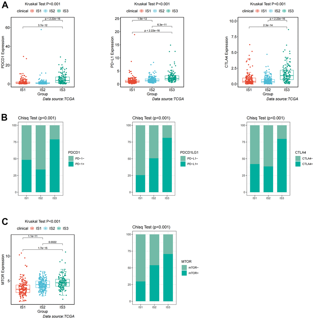Identification of differential expression of immune checkpoints and mTOR among immune-related subtypes. (A) Differential expression of PDCD1, PD-L1, and CTLA4 among the ccRCC immune subtypes in TCGA cohorts. (B) Differential proportion of PDCD1+, PD-L1+, and CTLA4+ among the ccRCC immune subtypes in TCGA cohorts. (C) Differential expression and proportion of mTOR+ among the ccRCC immune subtypes in TCGA cohorts.