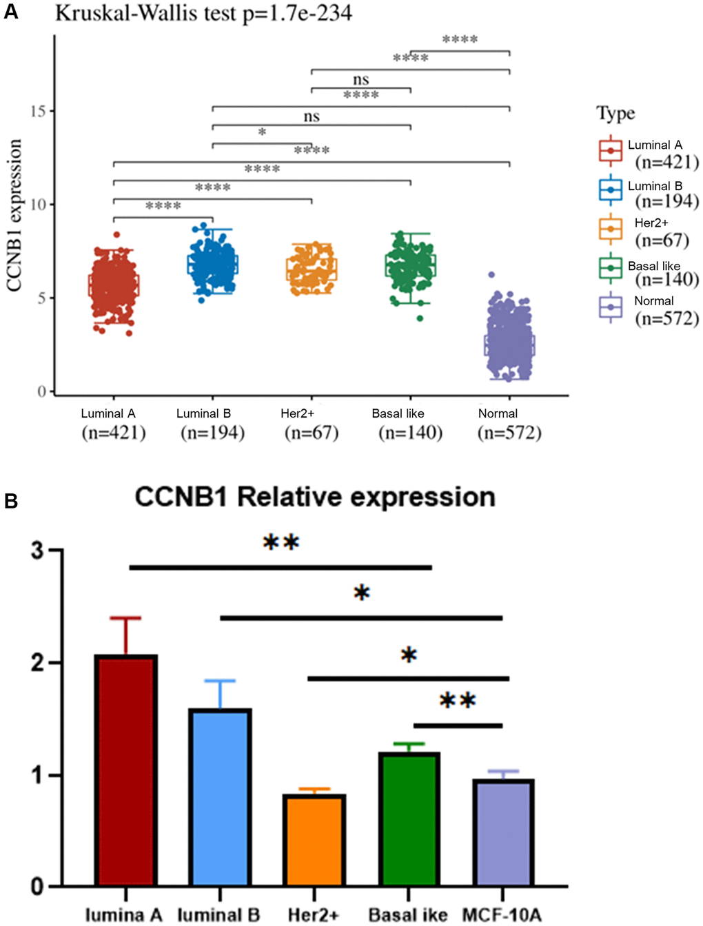 Expression of CCNB1 in different molecular subtyping of BC. (A) The relative expression of CCNB1 in luminal A, luminal B, Her2+, basal like and MCF 10A cell lines. CCNB1 expression was higher in the four molecular subtyping of BC (luminal A, luminal B, Her2+, basal like) than in the normal group. (B) Compared with the MCF 10A cell line, CCNB1 was up-regulated in luminal A, luminal B and basal-like cell lines, but down-regulated in Her2+ cell line, as verified by qRT-PCR. *p **p ***p 