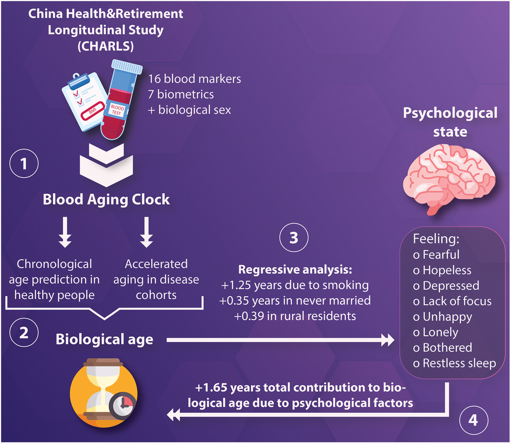 Psychological distress from early adulthood to early old age: evidence from  the 1946, 1958 and 1970 British birth cohorts, Psychological Medicine