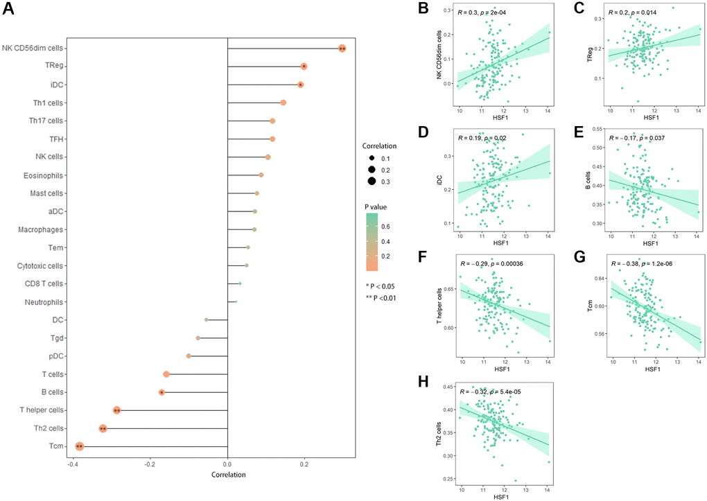 Correlation analyses between HSF1 and immune infiltration. (A) Lollipop plot showing the expression of HSF1 exhibits a strong correlation with the infiltration abundance of NK CD56dim cells (B), Tregs (C), immature DCs (iDCs) (D), B cells (E), T helper (Th) cells (F), T central memory (Tcm) cells (G) and Th2 cells (H). *P **P 