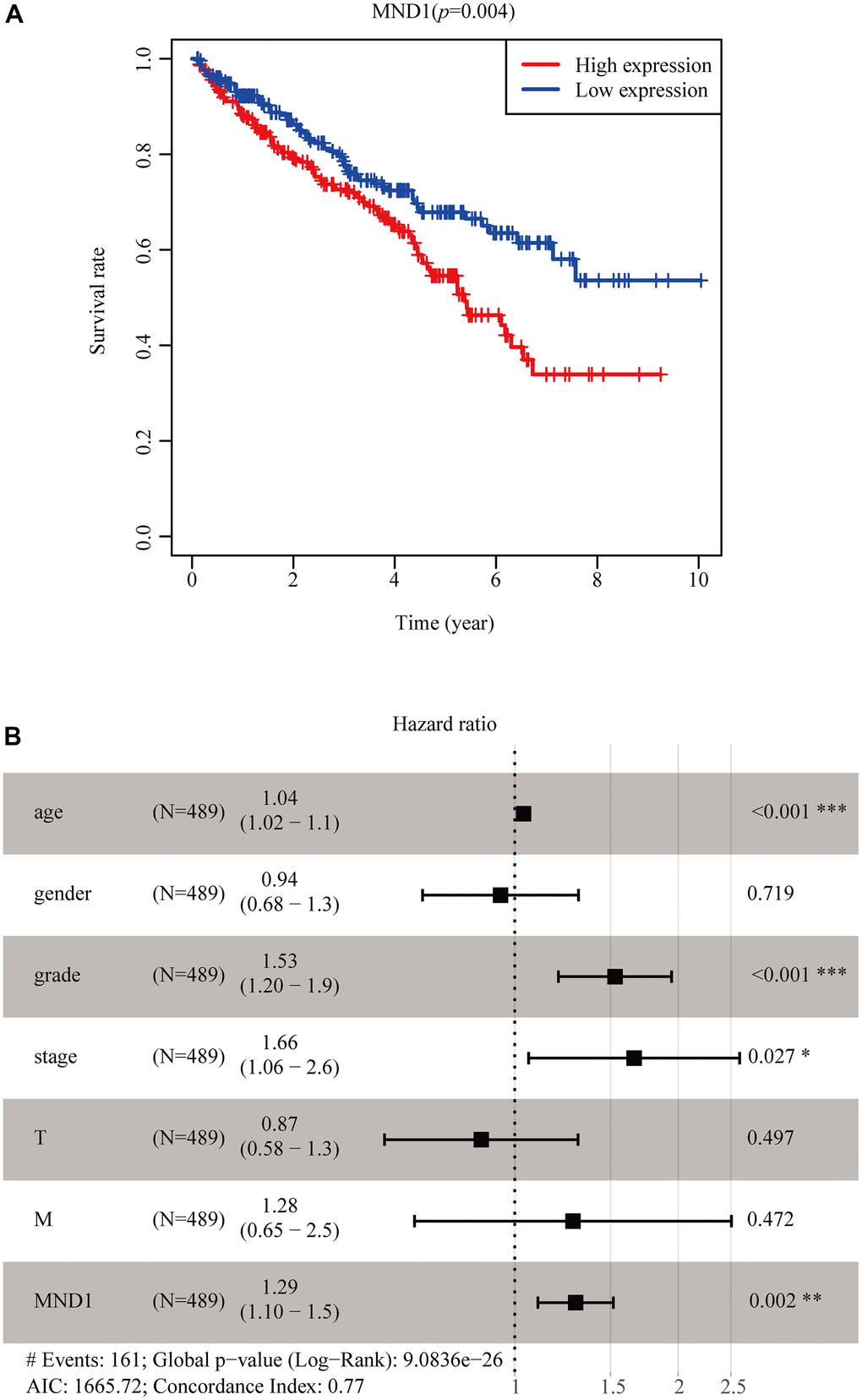 MND1 expression in tumor tissues is associated with poor survival in KIRC patients. (A) Associations with overall survival and the expression of MND1 in TCGA patients. (B) Multivariate Cox analysis of MND1.