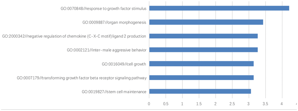 The gene ontology enrichment analysis. The results of gene ontology enrichment analysis revealed that these differentially-expressed genes were involved in several biological processes including growth factor stimulus, organ morphogenesis, negative regulation of chemokine (C-X-C motif) ligand 2 production, inter-male aggressive behavior, cell growth, transforming growth factor beta and stem cell maintenance.