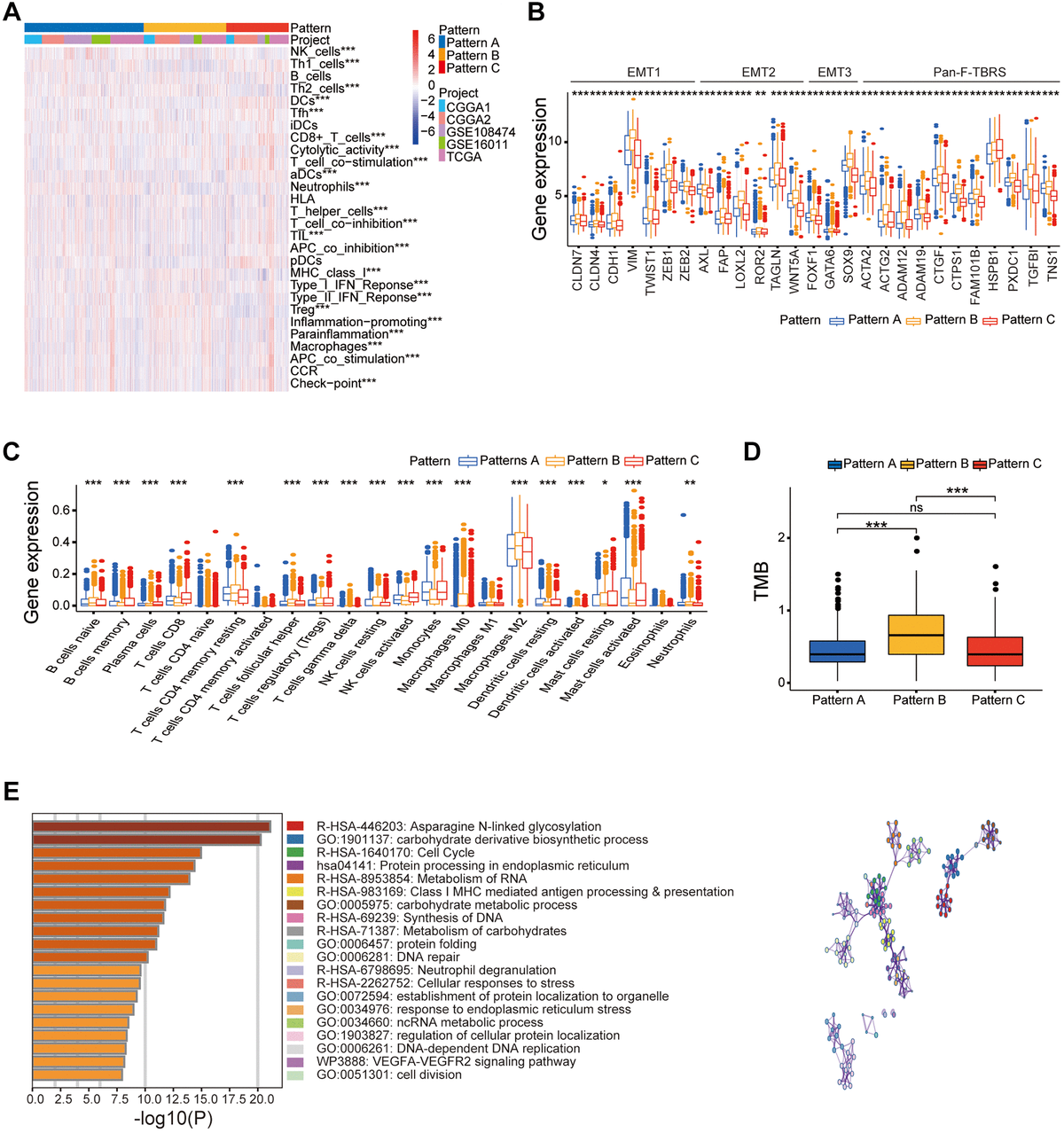 DNA methylation regulator-mediated modification patterns and tumor ...