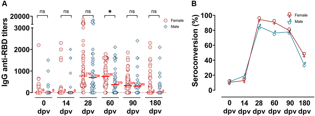 Distribution of IgG anti-RBD titers measured up to 180 dpv differentiated by gender groups. (A) Specific SARS-CoV-2 anti-RBD antibody titers were analyzed according to male or female gender groups, before and at different times post-vaccination (0, 14, 28, 60, 90 and 180 dpv) by ELISA. Horizontal red lines represent the median. Statistical analyses were performed with Mann-Withney test. *p B) Seroconversion of IgG anti-RBD among the time post-vaccination in female and male groups.