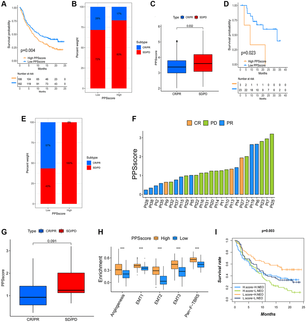 The influence of distinct PPSscore on anti-PD-1/L1 immunotherapy. (A) Survival analyses for low and high PPSscore patient groups in the anti-PD-L1 immunotherapy cohort using Kaplan-Meier curves. (B) The percent weight of patients with clinical response to anti-PD-L1 immunotherapy in low or high PPSscore groups. SD/PD, stable disease/progressive disease; CR/PR, complete response/partial response. (C) The distribution of PPSscore in distinct anti-PD-L1 clinical response groups. (D) Survival analyses for low and high PPSscore patient groups in the anti-PD1 immunotherapy cohort using Kaplan-Meier curves. (E) The percent weight of patients with clinical response to PD-1 blockade immunotherapy in low or high PPSscore groups. (F) The correlation of PPSscore with clinical response to anti-PD-1 immunotherapy. Pt, patients. PD, green; PR, blue; CR, orange. (G) The distribution of PPSscore in distinct anti-PD-1 clinical response groups. (H) Differences in stroma-activated pathways between high and low PPSscore groups in anti-PD-L1 immunotherapy cohort. The upper and lower ends of the boxes represented the interquartile range of values. The lines in the boxes represented the median value. The asterisks represented the statistical P value (***P I) Survival analyses for patients receiving anti-PD-L1 immunotherapy classified by both PPSscore and neoantigen burden using Kaplan-Meier curves.