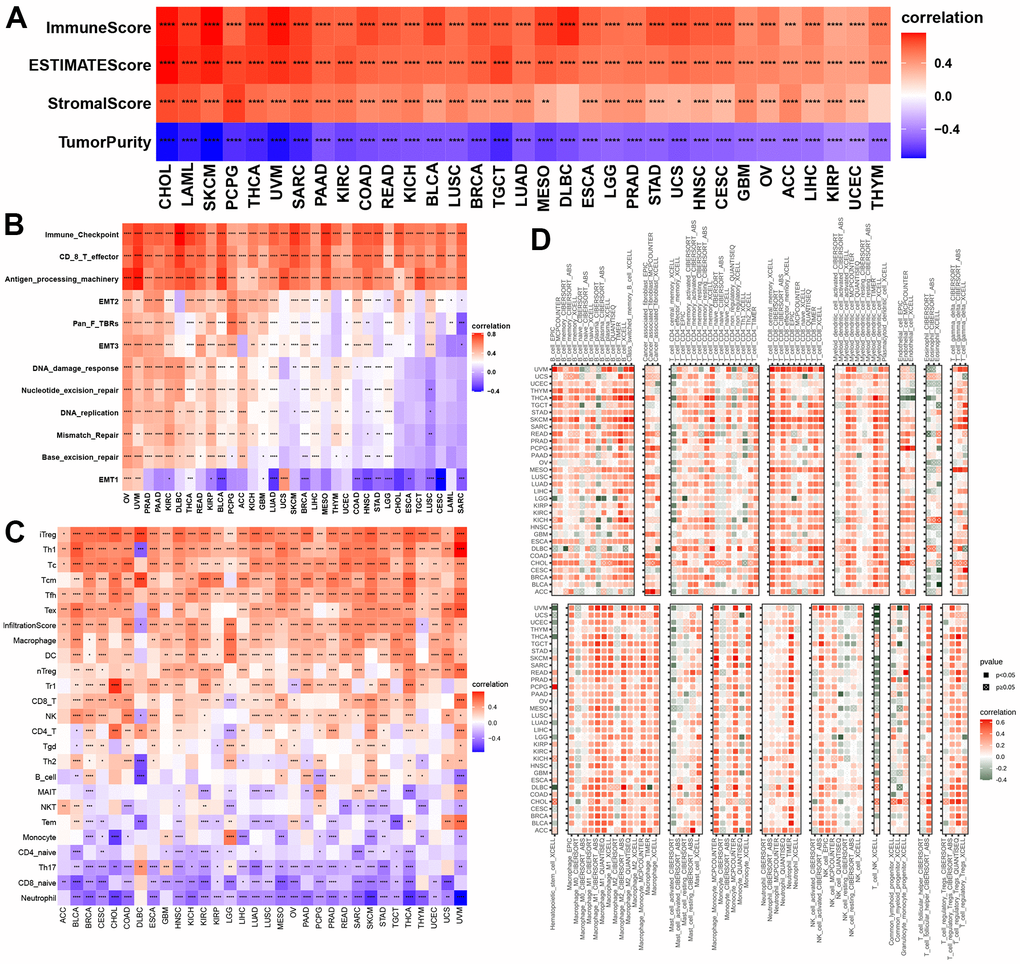 Associations with NPS with immune status. (A, B) Associations between NPS and tumor microenvironment in each cancer. (C, D) Associations between NPS and immune cell infiltrations in ImmuCell AI and TIMER2.